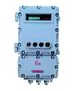 BDXY82系列防爆智能(稱(chēng)重)顯示器儀表箱(IIB IIC)